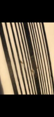 5’11 Roberts Shortboard